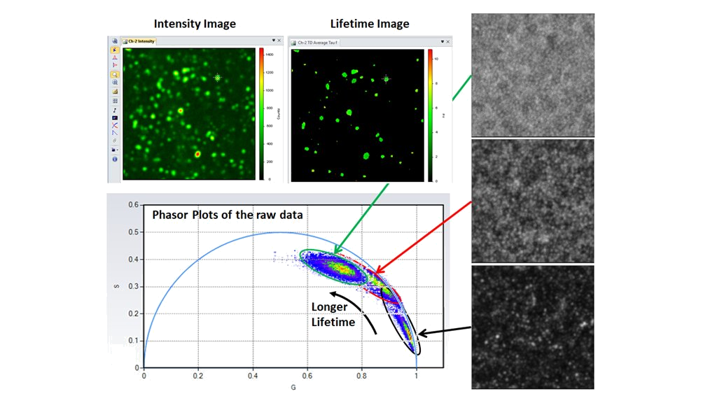 Perovskite confocal lifetime imaging